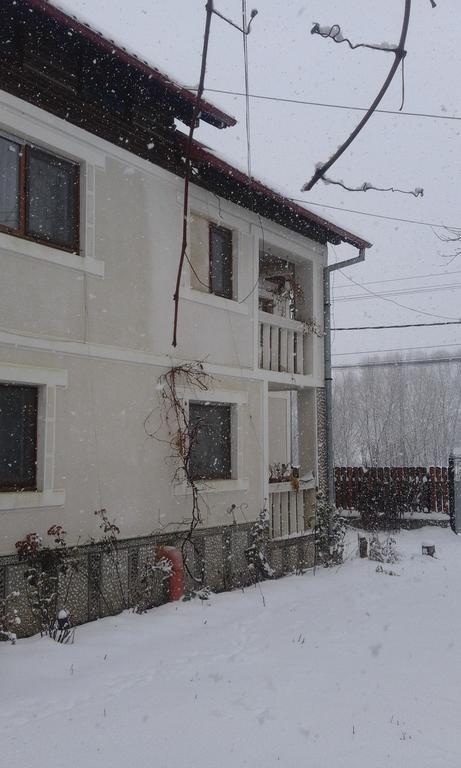 Pensiunea Margareta Sita Buzăului Exteriör bild
