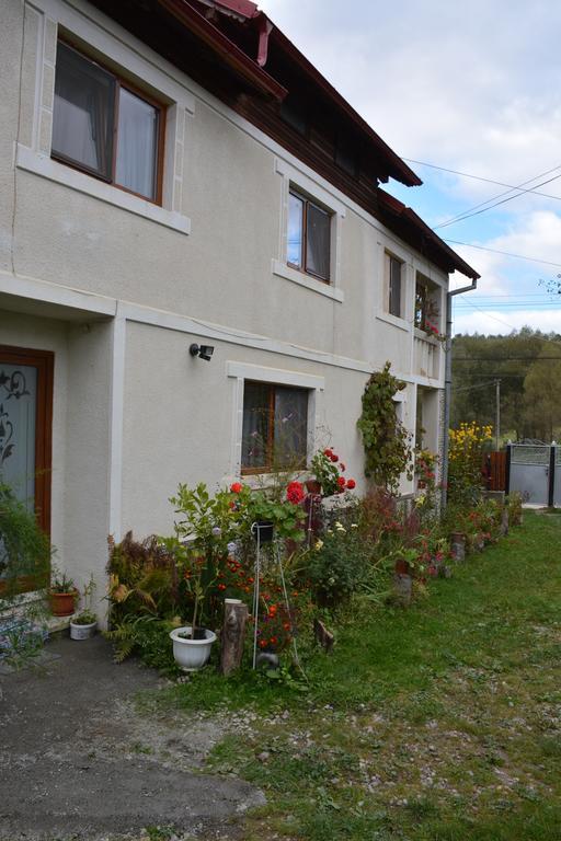 Pensiunea Margareta Sita Buzăului Exteriör bild