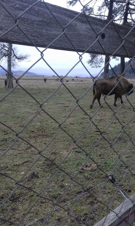 Pensiunea Margareta Sita Buzăului Exteriör bild