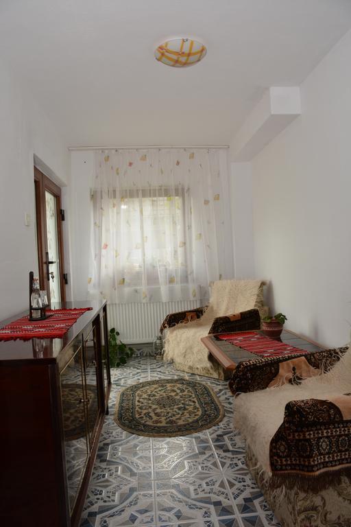 Pensiunea Margareta Sita Buzăului Exteriör bild